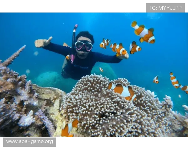 尴尬回忆:浮潜时因贴近水面导致的相似困扰与应对心得分享经历记 尴尬回忆:浮潜时因贴近水面导致的相似困扰与应对心得分享经历记