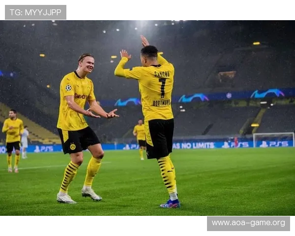 哈兰德今日看点全汇总 深度数据解析揭示赛场真实价值不容忽视表现